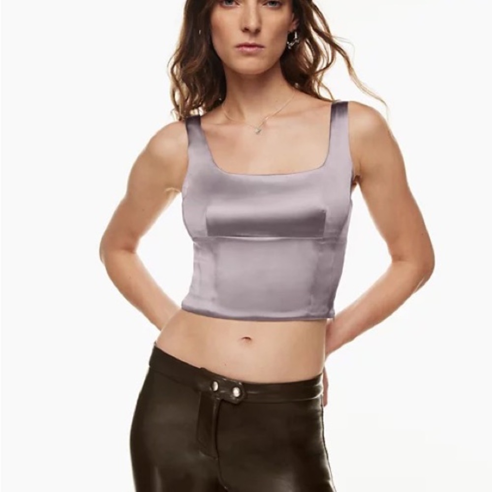 Aritzia Wilfred Shine Bustier